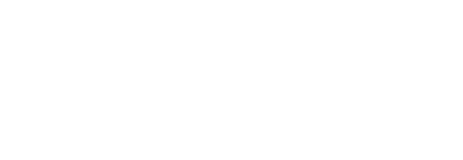 The Fashion Incubator